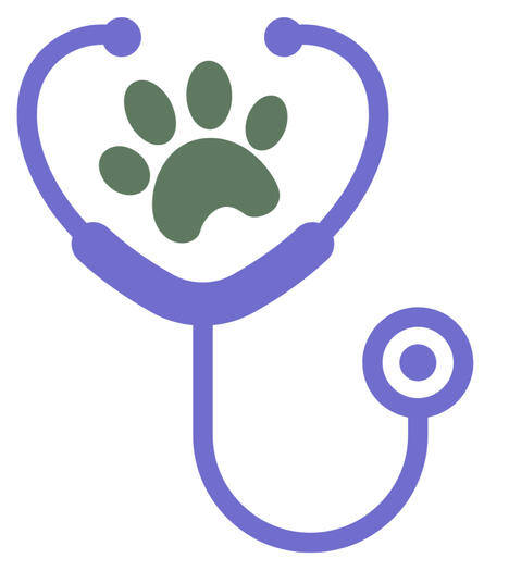 Preventive &amp; Wellness Care