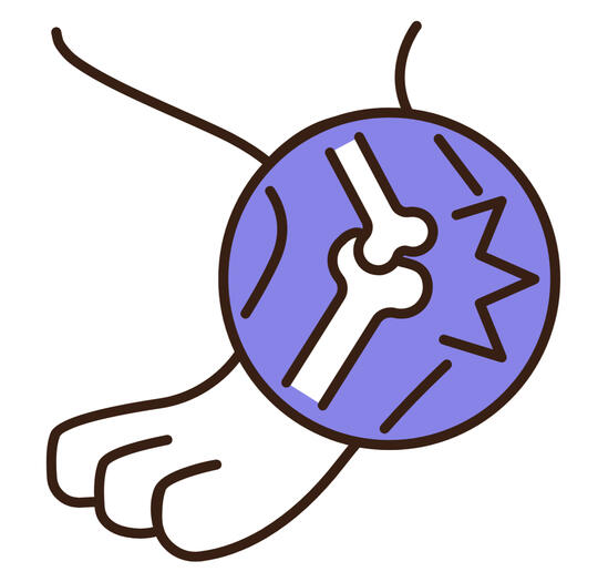 Pain Management &amp; Senior Care