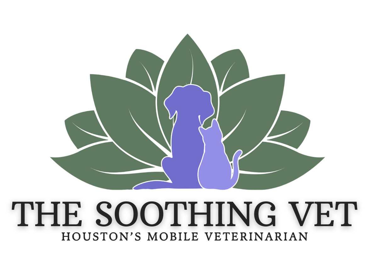 Compassionate roots & wellness driven