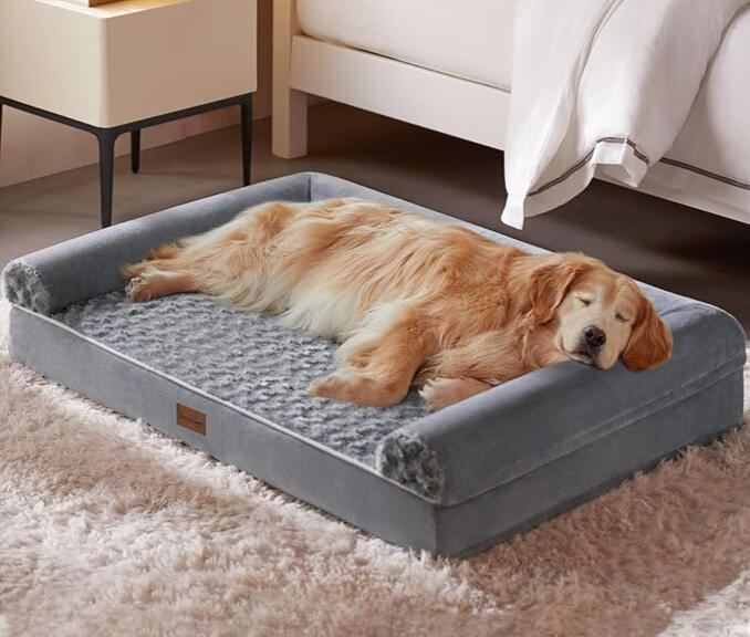 Compassionate roots & wellness driven